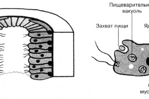 Kraken это